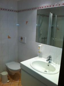 a bathroom with a sink and a toilet and a mirror at Hotel Garni Schmieder’s Ochsen in Seelbach