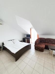 奧瑞比克的住宿－Apartments Prajo, Orebić，一间卧室配有一张床和一张沙发
