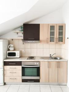 une cuisine avec un évier et un micro-ondes dans l'établissement Apartments Prajo, Orebić, à Orebić