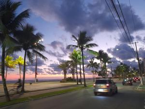 a car driving down a street with palm trees at Mayda hostel in Praia Grande +31 photos
