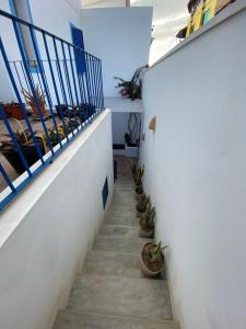 eine Treppe mit Topfpflanzen an der Seite eines Gebäudes in der Unterkunft Nos Kasa in Sal Rei