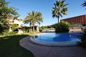 a swimming pool in a yard with palm trees at Can Tomeu in Calas de Mallorca