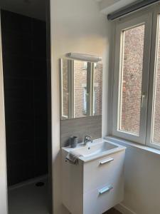 uma casa de banho com um lavatório, um espelho e uma janela em Appartement hypercentre 4 personnes 30 m2 em Lille