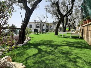 un cortile con prato verde, alberi e sedie di Villa Persico a Massa Lubrense