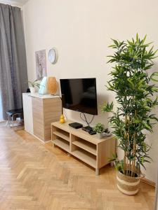 Modern Apartment Krakovska في براغ: غرفة معيشة مع تلفزيون بشاشة مسطحة على منصة