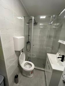 a bathroom with a shower and a toilet and a sink at Stan centar ns in Novi Sad
