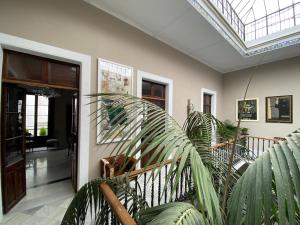 TV a/nebo společenská místnost v ubytování Casa Palacio Ánima