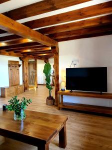 a living room with a large flat screen tv at NATVI in Pedraza-Segovia