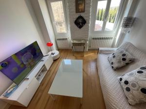 TV a/nebo společenská místnost v ubytování Sagasta Centro