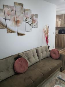 a couch in a living room with paintings on the wall at Apartman Banija in Banja Koviljača