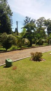 a green object sitting on the grass in a park at Sítio Toa Toa in São Roque