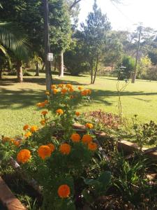 a garden with orange flowers in a park at Sítio Toa Toa in São Roque