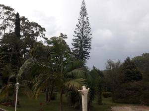 a statue of a man standing next to a palm tree at Sítio Toa Toa in São Roque