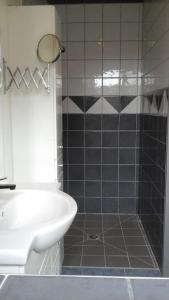 a bathroom with a shower and a sink and a toilet at La maison des chevreuils in Plouigneau
