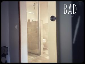a bathroom with a glass shower door with a toilet at Gemütliches Apartment mit Moselblick in Reil