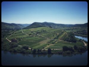 an aerial view of a vineyard on the river at Gemütliches Apartment mit Moselblick in Reil +7 photos