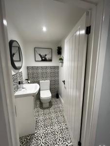 a bathroom with a white toilet and a sink at Orchard Lodge -Coastal Retreat, new build, village views, private garden and terrace in Saint Brides Major