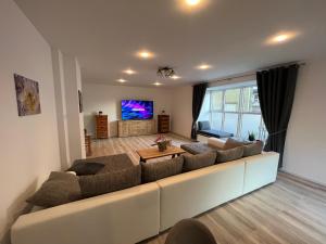 Schlossblick في ماركتردفيتس: غرفة معيشة مع أريكة كبيرة وتلفزيون