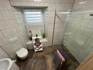 een badkamer met een toilet, een wastafel en een douche bij Schlossblick in Marktredwitz