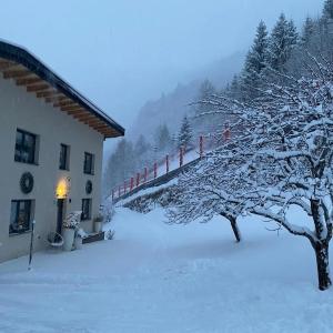 Lieblingsplatz - Ski in und Ski out през зимата