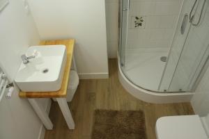 een badkamer met een wastafel, een douche en een toilet bij WidziMiSie in Wetlina