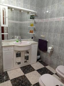 y baño con lavabo y aseo. en Apartamento Turístico Antigua Universidad Almagro, en Almagro