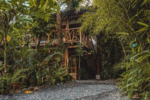 a house in the jungle with a pathway leading to the door at Hostal Las Palmas in Puyo +36 photos