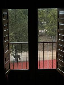two windows with a view of a dog on a balcony at Hostal Ciudad Encantada in Cuenca