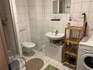 ein Bad mit einem Waschbecken, einem WC und einer Dusche in der Unterkunft Ferienwohnung Mainz Bahnhof in Mainz