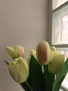 a group of yellow tulips in a vase next to a window at Decumani Prestige in Naples
