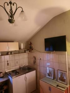 Kuchyňa alebo kuchynka v ubytovaní Famous Promenade Riva Apartment
