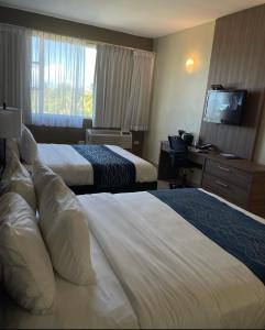 Postel nebo postele na pokoji v ubytování Comfort Inn & Suites