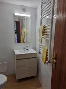 a bathroom with a sink and a mirror at Casa da Andorinha in Pardieiros