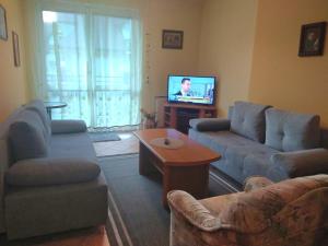 sala de estar con 2 sofás y TV en Apartament Eugenia, en Krynica-Zdrój