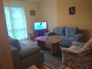 Televízia a/alebo spoločenská miestnosť v ubytovaní Apartament Eugenia