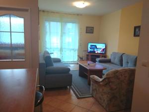 Televízia a/alebo spoločenská miestnosť v ubytovaní Apartament Eugenia