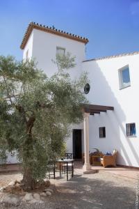 un grand bâtiment blanc avec un arbre en face dans l'établissement Arriadh Hotel, à Ronda