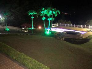 casa calima外面的花园