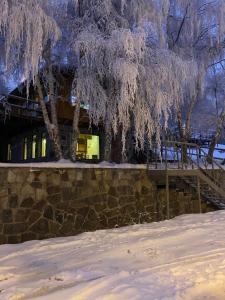 a tree with icy branches hanging over a stone wall at Hostal Boutique CUMBRES in Farellones