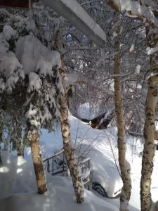 un grupo de árboles con nieve. en Hostal Boutique CUMBRES en Farellones