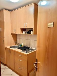 Köök või kööginurk majutusasutuses Villa Papuk