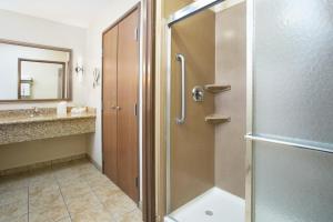a bathroom with a shower with a glass door at Holiday Inn Express and Suites Los Alamos Entrada Park, an IHG Hotel in Los Alamos