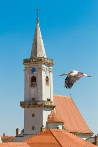Fotografie z fotogalerie ubytování unser rosa Haus für Sie v destinaci Rust
