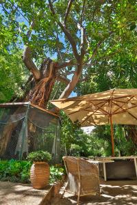 a table and an umbrella next to a tree at Le Windsor, Jungle Art Hotel in Nice