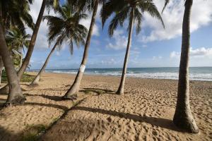 Gallery image of KASA Las Palmas OCEAN VIEW BEACHFRONT CONDO POOL in San Juan