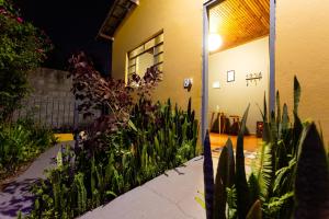 un jardín con plantas frente a un edificio en Hostel Gentileza - Guest House en Alto Paraíso de Goiás