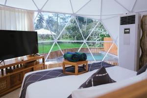 TV a/nebo společenská místnost v ubytování Triyana Resort and Glamping