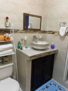 La salle de bains est pourvue d'un lavabo et de toilettes. dans l'établissement jermaines onestop, à Portmore