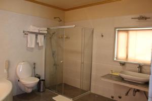 een badkamer met een douche, een toilet en een wastafel bij The Zen Ladakh in Leh