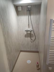 a bathroom with a shower and a toilet at Gîte L' Escale Ponote - Centre ville - Appart 90m2 in Le Puy en Velay